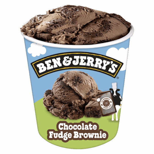 BEN & JERRY'S Chocolate Fudge Brownie