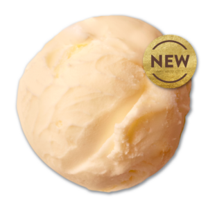 91510 Hackney Gelato Ginger & Honey Gelato 4.5lt