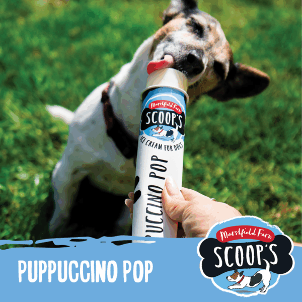 Marshfield Dog Puppuccino Pop Ice Cream
