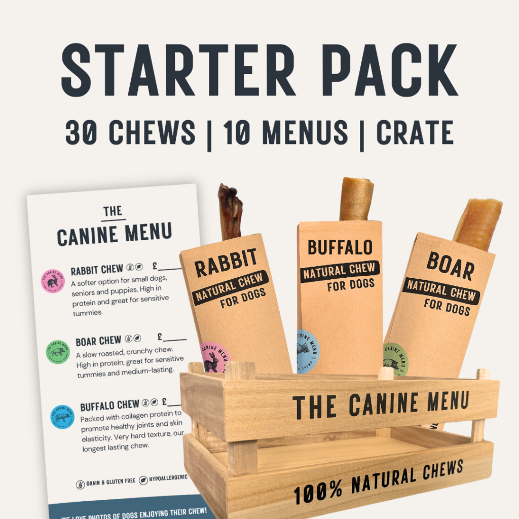 92651 Canine Menu DOG Starter Pack 30 Chews and Crate